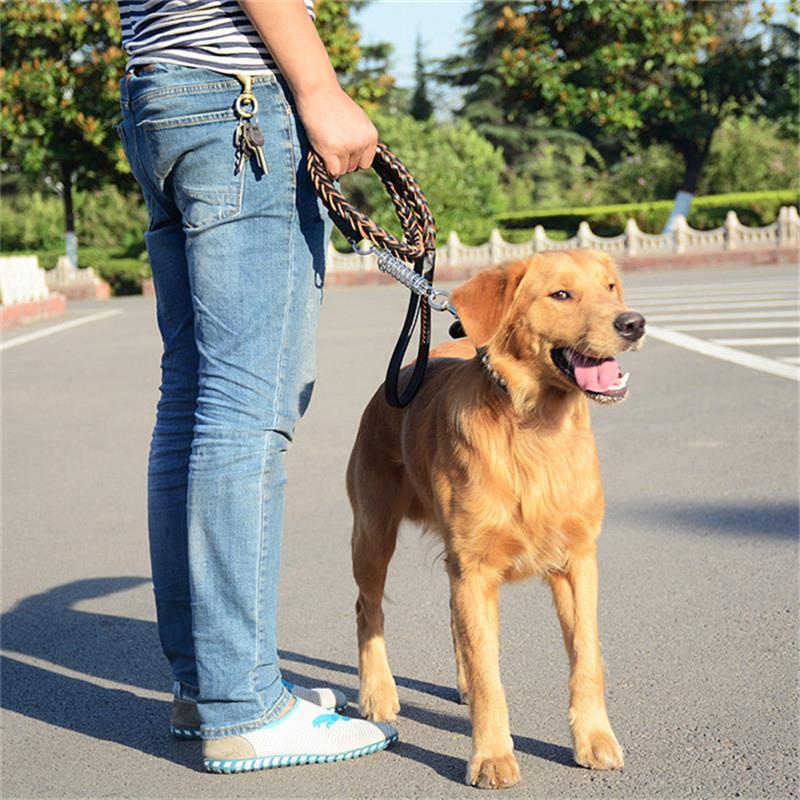 
	4 Colors Deluxe Leather Dog Lead Leash Pet Training Leather Leash for Medium Large Dog