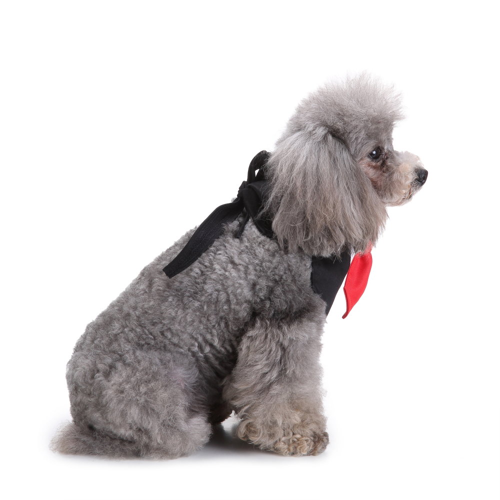 
	Formal Dog Tuxedo Dog Bow Tie and Neck Ties Designs