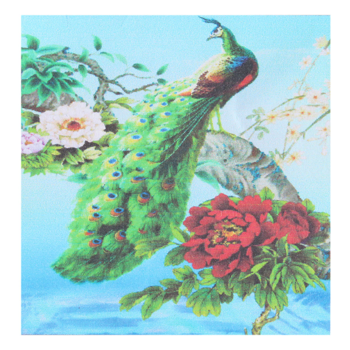 
	5D Diamond Embroidery Painting DIY Peacock Peony Mosaic Stitch Craft Home Wall Decor