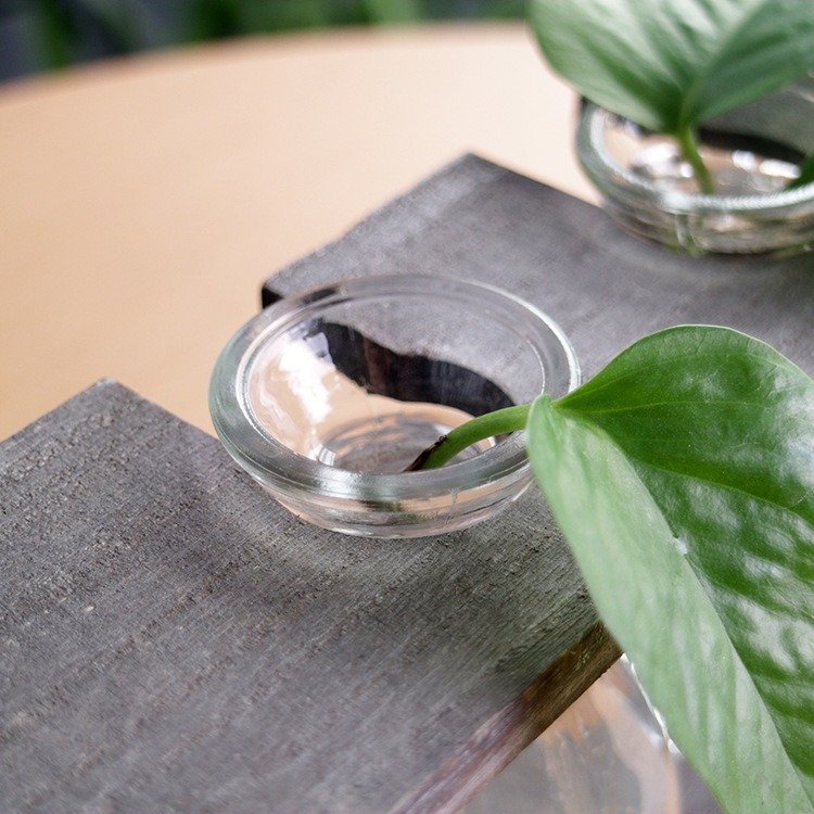 
	Creative Simple Style Glass Wood Plant Vase Home Decorative Planter