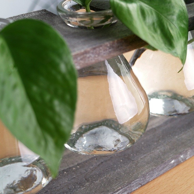 
	Creative Simple Style Glass Wood Plant Vase Home Decorative Planter