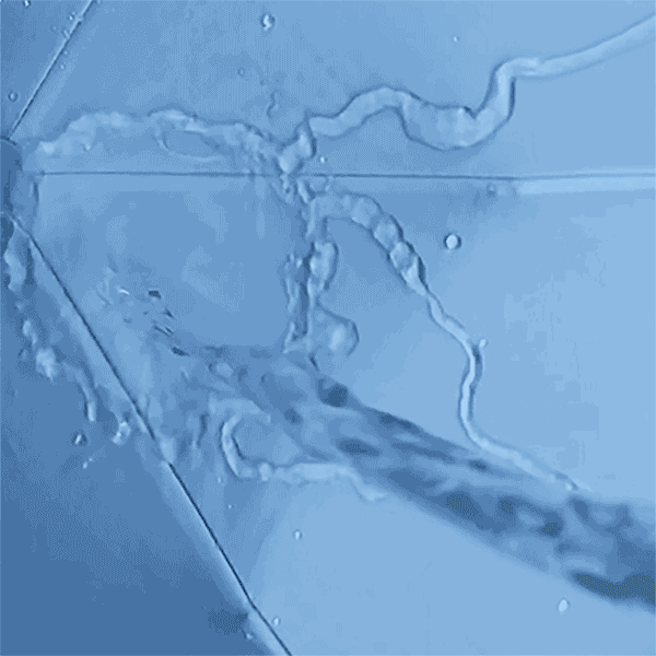 
	Portable Mini Foldable Travel Waterproof Windproof UV Resistent UPF50+ Umbrella